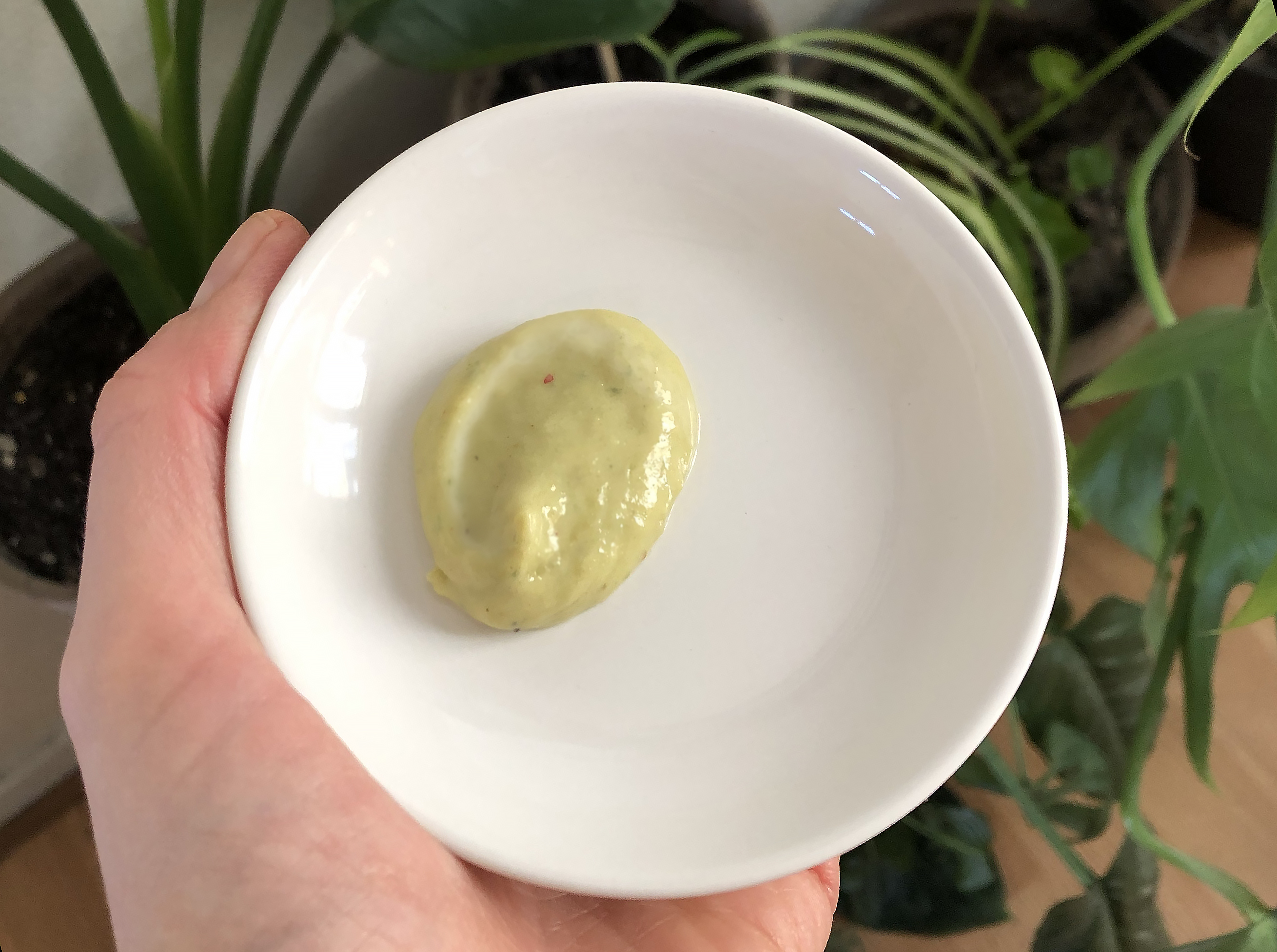 Mayo Wasabi – astuces anti gaspi